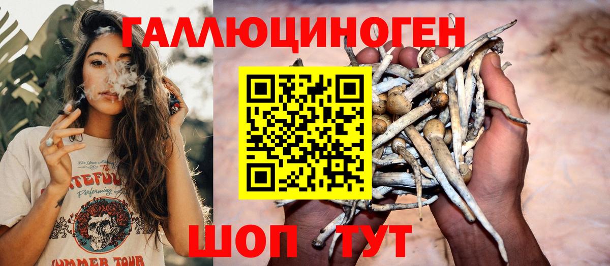 Галлюциногенные грибы Cubensis Унеча